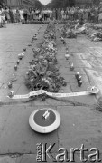 9.05.1982, Warszawa, Polska
Układanie krzyża kwietnego na placu Zwycięstwa (obecnie Piłsudskiego) upamiętniającego kardynała Stefana Wyszyńskiego. Na pierwszym planie widać szarfy z napisem: 