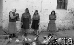 1949, Jędrzejów k/Grodkowa, Polska.
Obóz Społeczny dla dzieci, opiekunki i kury na podwórku.
Fot. Kazimierz Seko, zbiory Ośrodka KARTA
 
