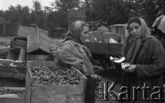 Lata 50-te, brak miejsca, Polska.
Targ owoców i warzyw.
Fot. Kazimierz Seko, zbiory Ośrodka KARTA
 
