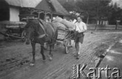 1937-1938, Worochta, woj. Stanisławów, Polska.
Harcerze z Kręgu Starszoharcerskiego im. Franciszka Tomanka ze Lwowa na obozie aprowizacyjnym.
Fot. NN, reprodukcja Kazimierz Seko, zbiory Ośrodka KARTA.