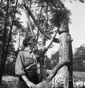 Sierpień 1971, Przeczyce, Polska.
Obóz hufca Bielsko-Biała, druhna w mundurku i berecie stojąca obok totemu.
Fot. Kazimierz Seko, zbiory Ośrodka KARTA