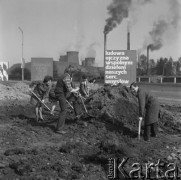 1975, Łaziska Górne, woj. Katowice, Polska.
Pracownicy Huty Łaziska podczas czynu społecznego, w tle hasła: 