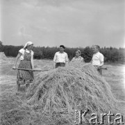 lata 60-te, brak miejsca, Polska.
Sianokosy, ludzie pracujący w polu. Na pierwszym planie stóg siana.
Fot. Kazimierz Seko, zbiory Ośrodka KARTA.