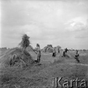 lata 60-te, brak miejsca, Polska.
Sianokosy, kobiety zgrabiające siano.
Fot. Kazimierz Seko, zbiory Ośrodka KARTA.