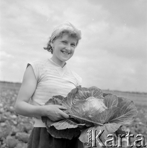 lata 60-te, brak miejsca, Polska.
Pracownica Państwowego Gospodarstwa Rolnego z główką kapusty.
Fot. Kazimierz Seko, zbiory Ośrodka KARTA.