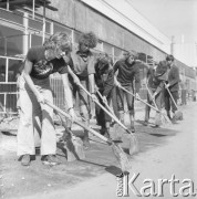 Lata70-te, Katowice, Polska.
Grupa chłopców z łopatami, uczniowie szkoły średniej pracujący podczas czynu społecznego.
Fot. Kazimierz Seko, zbiory Ośrodka KARTA