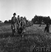 14.09.1969, Polska
Polowanie na kuropatwy.
Fot. Jarosław Tarań, zbiory Ośrodka KARTA [69-493]
 
