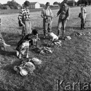 14.09.1969, Polska
Polowanie na kuropatwy, myśliwi ze swoimi trofeami.
Fot. Jarosław Tarań, zbiory Ośrodka KARTA [69-493]
 
