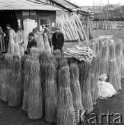 11.03.1969, Rudnik nad Sanem, Polska
Zakłady wikliniarskie, na ścianie tabliczki ostrzegawcze: 