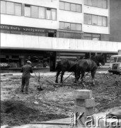 Sierpień 1962, Warszawa, Polska.
Przygotowywanie terenu pod zieleniec przed blokiem w Alach Jerozolimskich.
Fot. Jarosław Tarań, zbiory Ośrodka KARTA [62-79]