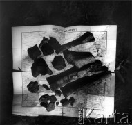 Sierpień 1962, okolice Warszawy, Polska.
Kości mamuta znalezione podczas wykopalisk archeologicznych.
Fot. Jarosław Tarań, zbiory Ośrodka KARTA [62-77]

