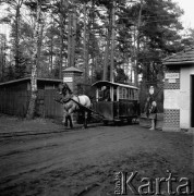 06.04.1965, Rudka.
Tramwaj konny wyjeżdzający z bramy sanatorium w Rudce.
Fot. Jarosław Tarań, zbiory Ośrodka KARTA [65-80]
 
