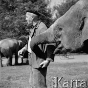8.06.1965, Warszawa, Polska.
Dokarmianie słonia.
Fot. Jarosław Tarań, zbiory Ośrodka KARTA [65-128]
 

