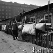 06.04.1966, Warszawa, Polska.
Wietrzenie kołder na płotach przed barakami mieszkalnymi przy ul. Towarowej.
Fot. Jarosław Tarań, zbiory Ośrodka KARTA [66-214]
 
