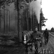 18.05.1967, nadleśnictwo Dęby.
Opylanie lasu przed szkodnikami.
Fot. Jarosław Tarań, zbiory Ośrodka KARTA [67-72]
 
