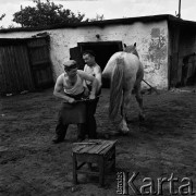 Czerwiec 1968, Warszawa, Polska.
Dwaj kowale podkuwający konia przed kuźnią.
Fot. Jarosław Tarań, zbiory Ośrodka KARTA [68-312]
 
