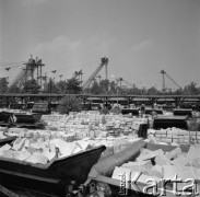4.07.1969, Strzelin, Polska
Kamieniołom w Strzelinie.
Fot. Jarosław Tarań, zbiory Ośrodka KARTA [69-42]
 
