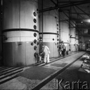 5.11.1969, Mała Wieś, Polska
Cukrownia, pracownicy przy silosach.
Fot. Jarosław Tarań, zbiory Ośrodka KARTA [69-176]
 
