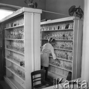 18.10.1969, Krynica Zdrój, Polska
Pijalnia wód w uzdrowisku.
Fot. Jarosław Tarań, zbiory Ośrodka KARTA [69-200]
 
