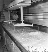 10.01.1969, Giżycko, Polska
Zakład produkujące żółte sery gouda.
Fot. Jarosław Tarań, zbiory Ośrodka KARTA [69- 208]
 

