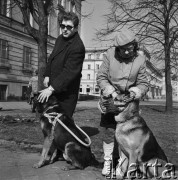 4.04.1969, Warszawa, Polska.
Psy wyszkolone przez milicjantów i przekazane w darze niewidomym.
Fot. Jarosław Tarań, zbiory Ośrodka KARTA [69-231]
 
