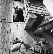 19.05.1969, Sobienie-Jeziory, Polska
Młyn w zabytkowym wiatraku.
Fot. Jarosław Tarań, zbiory Ośrodka KARTA [69-301]
 
