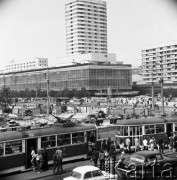 16.08.1969, Warszawa, Polska.
Przystanek tramwajowy w Alejach Jerozolimskich, w tle Domy Towarowe Centrum.
Fot. Jarosław Tarań, zbiory Ośrodka KARTA [69-324]
 
