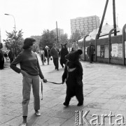 29.05.1970, Warszawa, Polska.
 Cyrk radziecki, niedźwiedzie na spacerze.
 Fot. Jarosław Tarań, zbiory Ośrodka KARTA [70-9]
   
