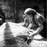15.05.1970, Gorzów Wielkopolski, Polska
 Pracownice roszarni lnu.
 Fot. Jarosław Tarań, zbiory Ośrodka KARTA [70-130]
   
