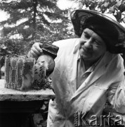 25.07.1970, Polska
 Pszczoły Władysława Grabowskiego.
 Fot. Jarosław Tarań, zbiory Ośrodka KARTA [70-187]
   
