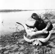 12.05.1970, Warszawa, Polska.
Czaszki prażubra wydobyte z Wisły.
Fot. Jarosław Tarań, zbiory Ośrodka KARTA [70-198]
 
