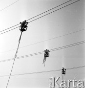 1.09.1970, Warszawa okolice, Polska.
Budowa linii wysokiego napięcia mającej dostarczać energię dla Warszawy.
Fot. Jarosław Tarań, zbiory Ośrodka KARTA [70-193]
 
