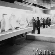 8.04.1970, Cieplice Zdrój, Polska
 Muzeum Przyrodnicze, gabloty z wypchanymi ptakami.
 Fot. Jarosław Tarań, zbiory Ośrodka KARTA [70-252]
   
