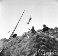 7.04.1970, Gorzów Wielkopolski, Polska
 Roszarnia lnu, pracownice zakładu na stercie lnu.
 Fot. Jarosław Tarań, zbiory Ośrodka KARTA [70-129]
   
