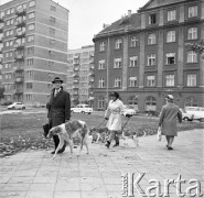 Wrzesień 1970, Warszawa, Polska.
Spacer z psami, w tle kamienica i bloki.
Fot. Jarosław Tarań, zbiory Ośrodka KARTA [70-292]
 
