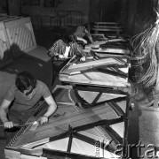 Styczeń 1971, Legnica, Polska
 Pracownicy fabryki pianin zakładający struny do instrumentów.
 Fot. Jarosław Tarań, zbiory Ośrodka KARTA [71-48]
   
