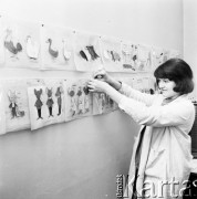 Kwiecień 1971, Bielsko-Biała, Polska
 Wytwórnia Filmów Rysunkowych.
 Fot. Jarosław Tarań, zbiory Ośrodka KARTA [71-53]
   
