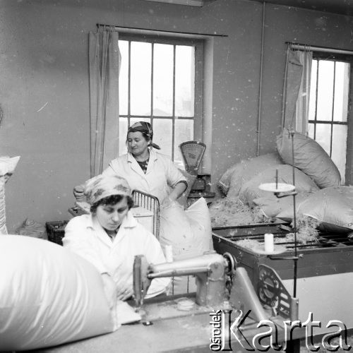 Listopad 1971, Swarzędz, Polska
 Zakłady Pierzarskie, pracownia krawiecka, zszywanie poduszek
 Fot. Jarosław Tarań, zbiory Ośrodka KARTA [71-181]
   
