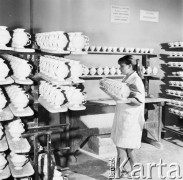 Wrzesień 1971, Wałbrzych, Polska
 Fabryka Porcelany Stołowej 