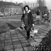 Grudzień 1971, Warszawa, Polska.
 Kobieta z zającami - zakupy specjalne przed świętami Bożego Narodzenia.
 Fot. Jarosław Tarań, zbiory Ośrodka KARTA [71- bez numeru]
   
