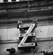 Październik 1971,Warszawa, Polska.
 Gołębie siedzące na literach neonu.
 Fot. Jarosław Tarań, zbiory Ośrodka KARTA [71-76]
   
