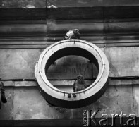 Październik 1971,Warszawa, Polska.
 Gołębie siedzące na literach neonu.
 Fot. Jarosław Tarań, zbiory Ośrodka KARTA [71-76]
   
