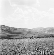 Maj 1971, Pieniny, Polska
Panorama gór.
Fot. Jarosław Tarań, zbiory Ośrodka KARTA [71-146]
 
