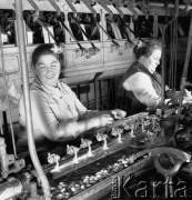 27.12.1971, Milanówek k. Warszawy, Polska
 Zakłady Jedwabnicze, hala produkcyjna.
 Fot. Jarosław Tarań, zbiory Ośrodka KARTA [71-122]
   
