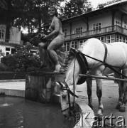 25-30.05.1971, Szczawnica, Polska
 Koń pijący wodę z fontanny koło pijalni wód.
 Fot. Jarosław Tarań, zbiory Ośrodka KARTA [71-171]
   
