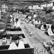 Wrzesień 1971, Dzierżoniów, Polska
Zakłady Radiowe 