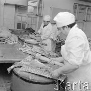 5.03.1972, Warszawa - Wilanów, Polska
Zakłady Garmażeryjne.
Fot. Jarosław Tarań, zbiory Ośrodka KARTA [72-40]
 
