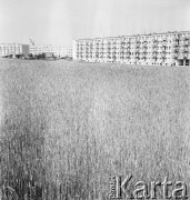 20.06.1972, Poznań, Polska
Nowe osiedle na obrzeżach miasta.
Fot. Jarosław Tarań, zbiory Ośrodka KARTA [72-42]
 
