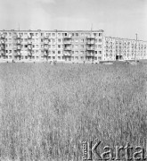 20.06.1972, Poznań, Polska
Nowe osiedle na obrzeżach miasta.
Fot. Jarosław Tarań, zbiory Ośrodka KARTA [72-42]
 
