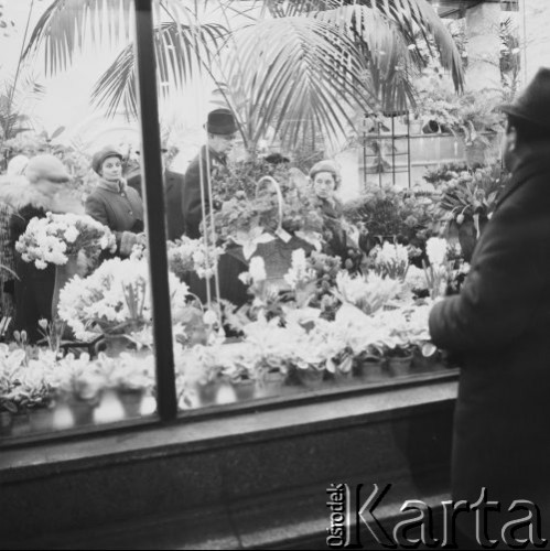 2.03.1972, Warszawa, Polska.
Ulica Marszałkowska wieczorem, klienci w kwiaciarni.
Fot. Jarosław Tarań, zbiory Ośrodka KARTA [72-39]
 
